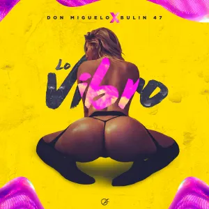 Pochette de Lo Vibro de Don Miguelo