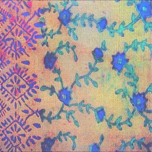 Pochette de Nivesana de Daniel Carter