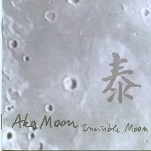 Pochette de Invisible Moon de Aka Moon