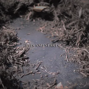 Pochette de Fits and Starts de Alesana