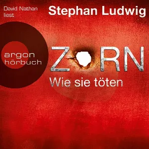 Pochette de Zorn: Wie sie töten de David Nathan