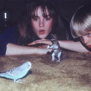 Pochette de Masterpiece de Big Thief