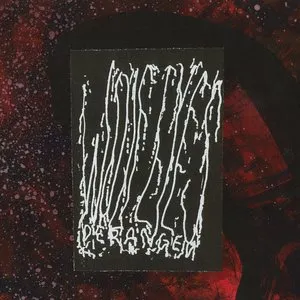 Pochette de Deranged de Wolf Eyes