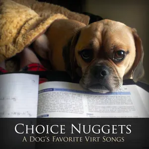 Pochette de Choice Nuggets de Jake Kaufman