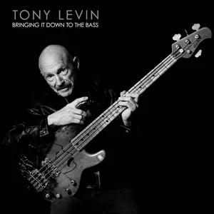 Pochette de Bringing It Down to the Bass de Tony Levin
