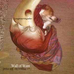Pochette de Wall of Want de Peter Cat Recording Co.