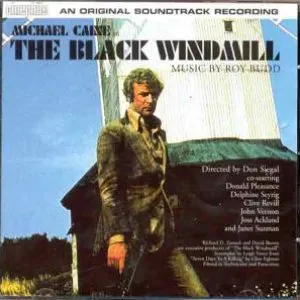 Pochette The Black Windmill