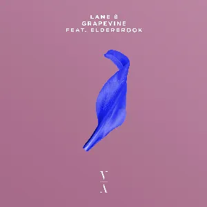 Pochette de Grapevine de Elderbrook