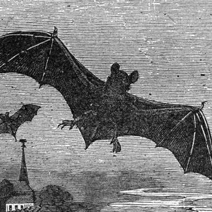 Pochette de The Loop de Kevin Drumm