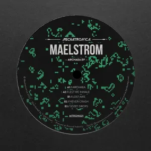 Pochette de Archaea EP de Maelstrom
