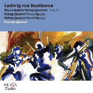 Pochette The Complete String Quartets, Volume VI