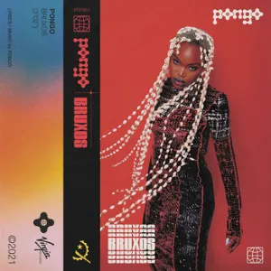 Pochette de Bruxos de Pongo