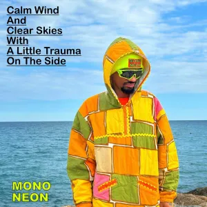 Pochette de Calm Wind and Clear Skies With a Little Trauma on the Side de MonoNeon