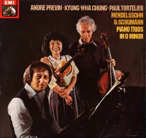 Pochette Piano Trios in D minor