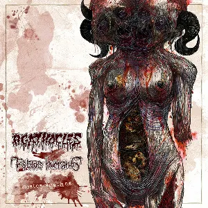 Pochette de Restos Agathos de Agathocles