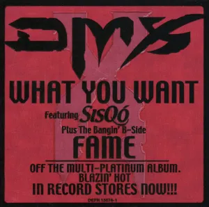 Pochette de What You Want / Fame de DMX