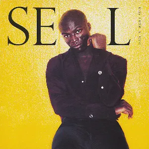 Pochette de Kiss From a Rose de Seal