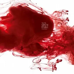 Pochette de Sadistic Rituals de Christian Wünsch
