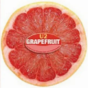 Pochette Grapefruit: U2 Fruitleg Remixes Not for Propoganda