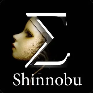 Pochette de The Enigma I de Shinnobu