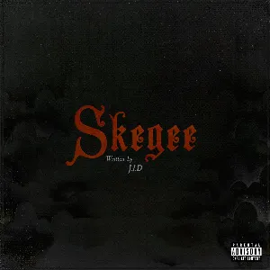 Pochette de Skegee de JID