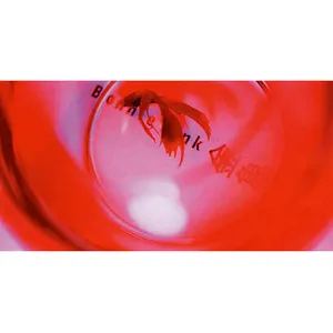 Pochette de 金魚 de BONNIE PINK