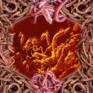 Pochette de Chier / Asleep In The Lake de Chier