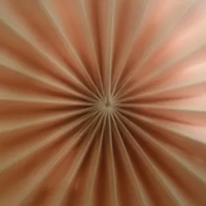 Pochette de With Pulse,Without. de Kevin Drumm