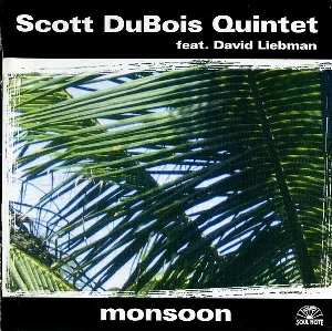 Pochette de Monsoon de David Liebman
