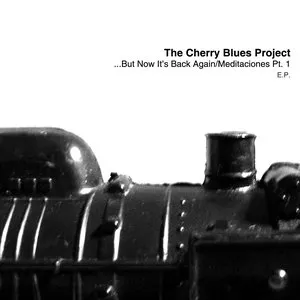 Pochette de ...But Now It's Back Again de The Cherry Blues Project