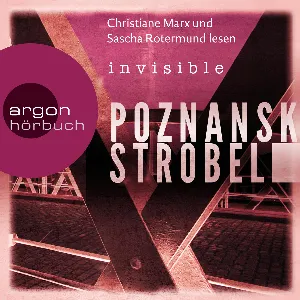 Pochette de Invisible de Richard Barenberg