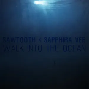 Pochette de Walk Into the Ocean de Sawtooth