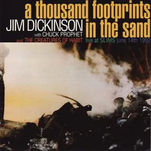 Pochette A Thousand Footprints in the Sand