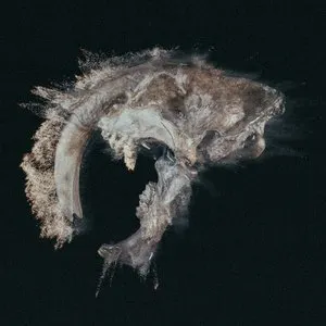 Pochette de Sabretooth de Spor