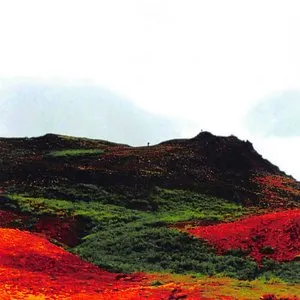Pochette de Vision of Jewels de Jandek