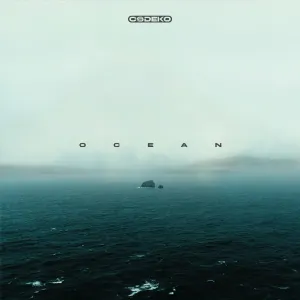 Pochette de Ocean de Codeko