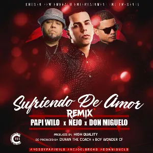 Pochette de Sufriendo de amor (remix) de Don Miguelo - Ñejo - Boy Wonder