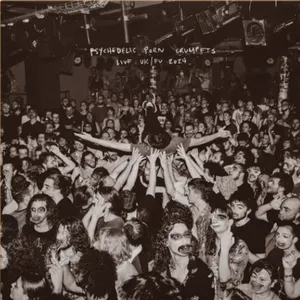 Pochette de Live UK/EU - 2024 (Digital) de Psychedelic Porn Crumpets