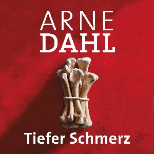 Pochette de Tiefer Schmerz de Jan Arnald