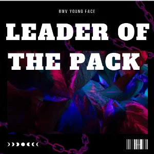 Pochette de Leader of the Pack de BMV Young Face
