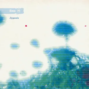 Pochette de Zygosis de eRikm