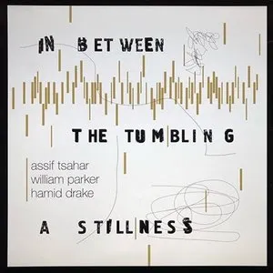 Pochette de In Between the Tumbling a Stillness de William Parker - Hamid Drake