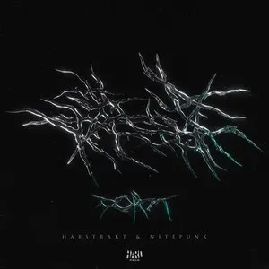 Pochette de Point de Nitepunk