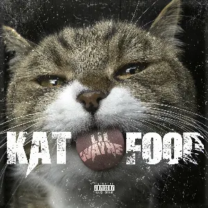 Pochette de Kat Food de Lil Wayne