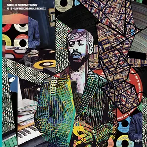 Pochette de Medicine Show No. 12: Raw Medicine: Madlib Remixes de Madlib