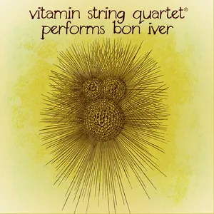 Pochette de VSQ Performs The Beatles, Vol. 2 de Vitamin String Quartet