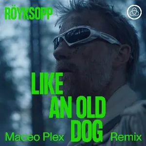 Pochette Like an Old Dog (Maceo Plex remix)
