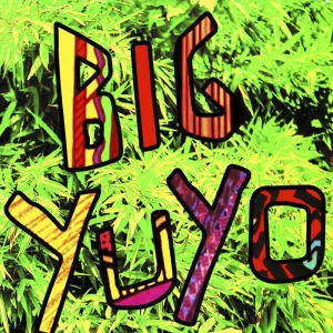 Pochette de Big Yuyo de Los Pericos