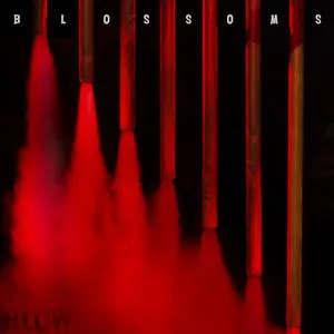 Pochette de Blow de Blossoms