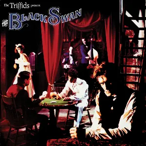 Pochette de The Black Swan de The Triffids